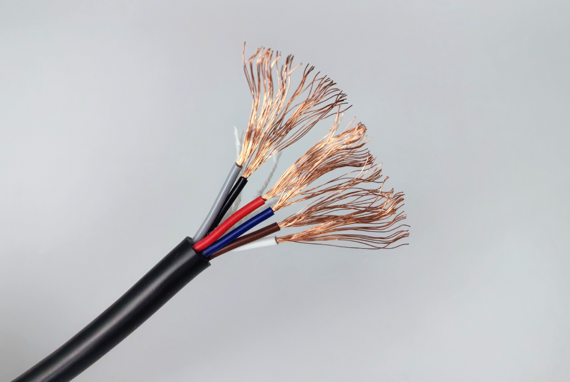 CCC RVV 導(dǎo)體圖.jpg